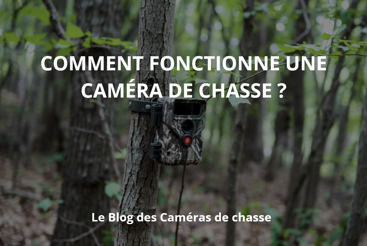 Comment fonctionne une Caméra de chasse ?