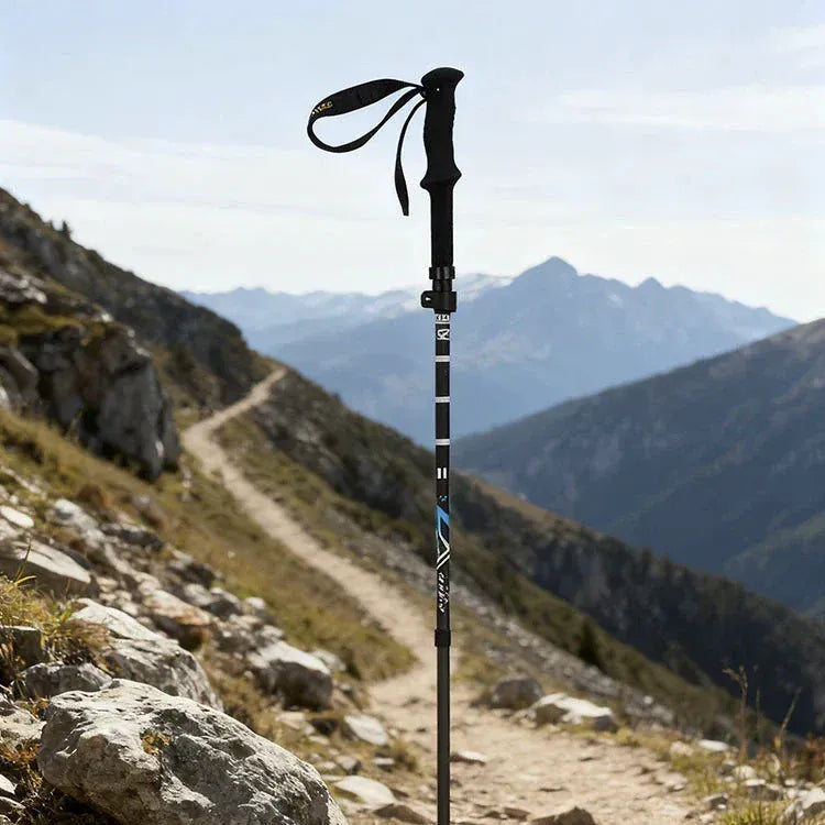 Mon Esprit Nature Bâtons de Trekking en fibre de carbone - NatureGrip