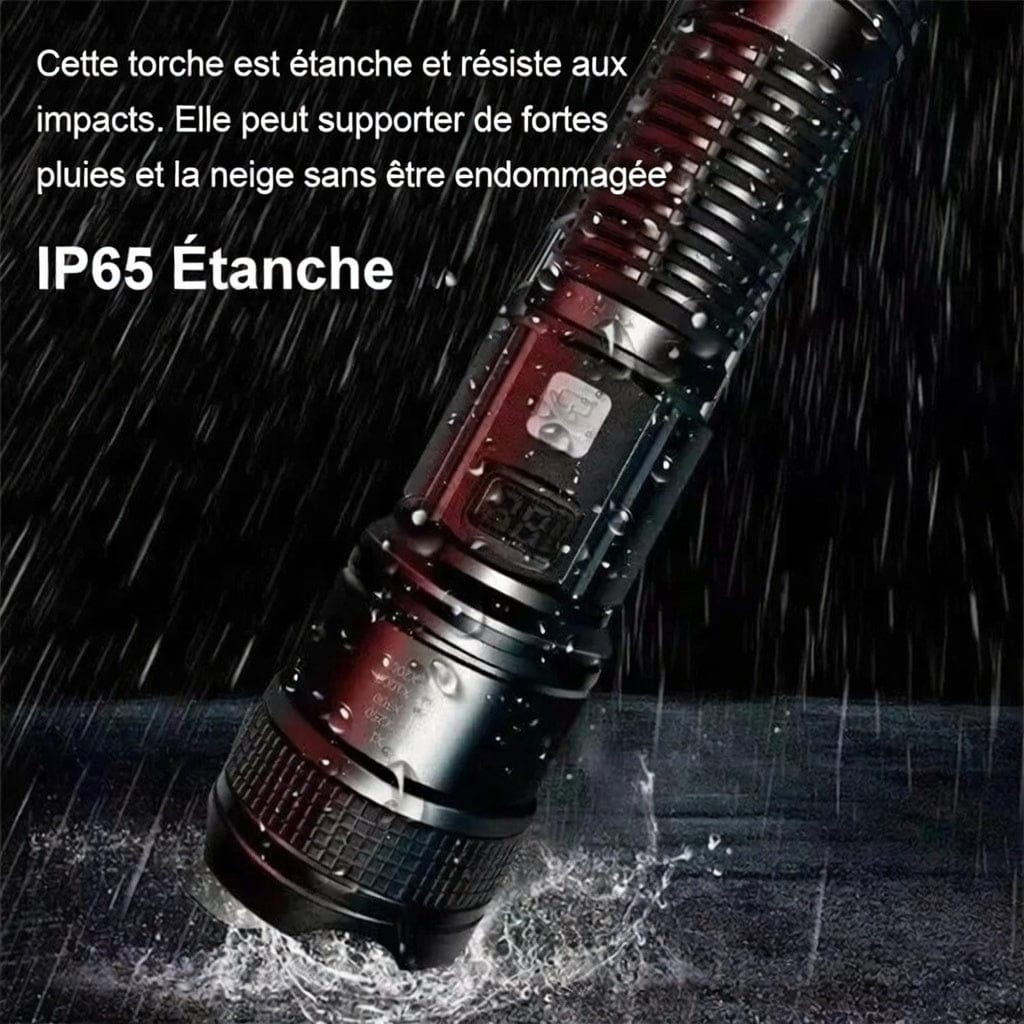 Mon Esprit Nature Gris Lampes de poche LED haute puissance - Blazion