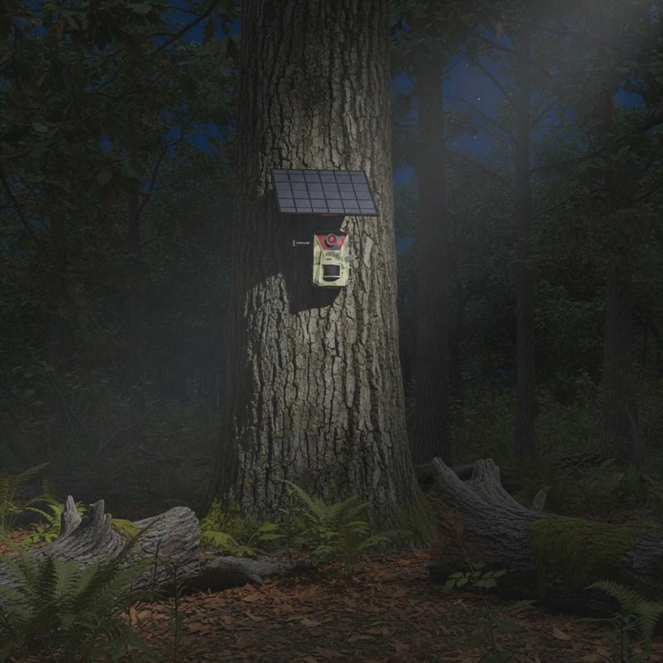 Caméra solaire de chasse et de sentier - Hunt Pro